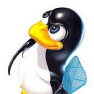auroraruizvique_1 avatar