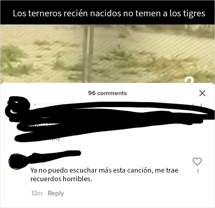 En un video de un ternerito persiguiendo a un tigre con la canción Funky Town de fondo