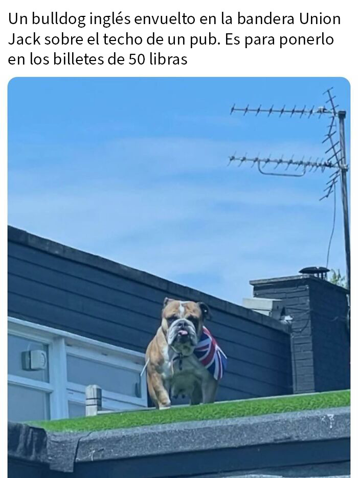 67 Funny British Memes That Show What Makes UK Humor So Uniquely Entertaining