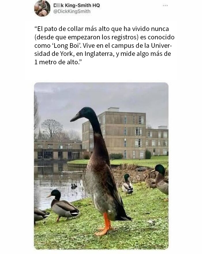 67 Funny British Memes That Show What Makes UK Humor So Uniquely Entertaining