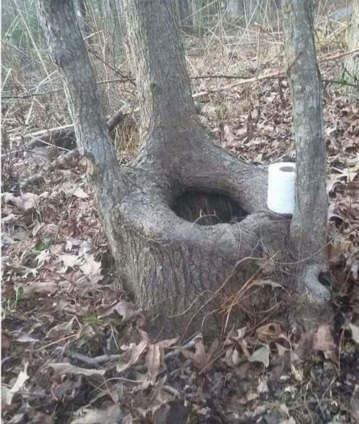 Hmmmm