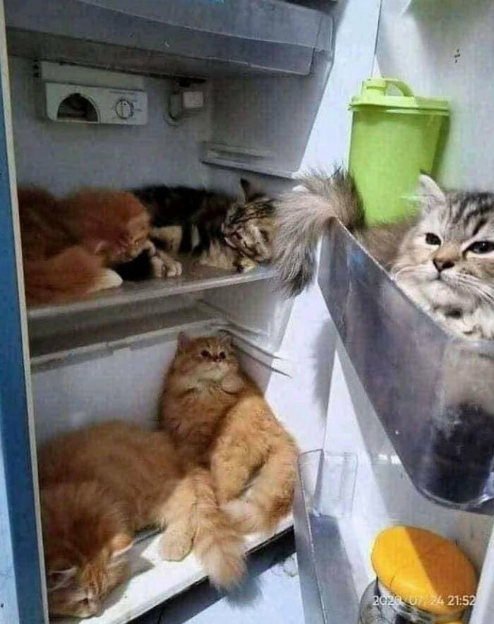 Hmmm
