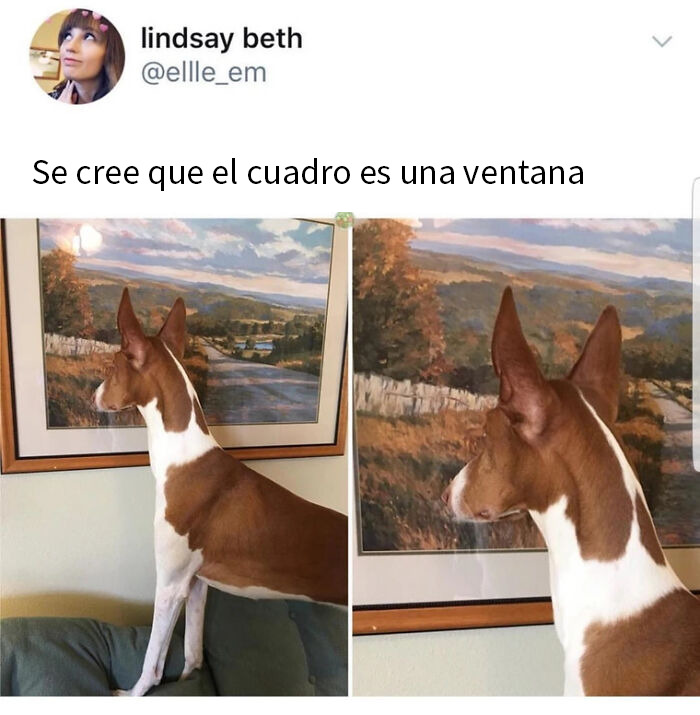 Necesita gafas