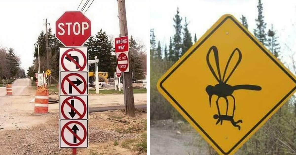 25 Carteles ingeniosos que merecía la pena fotografiar