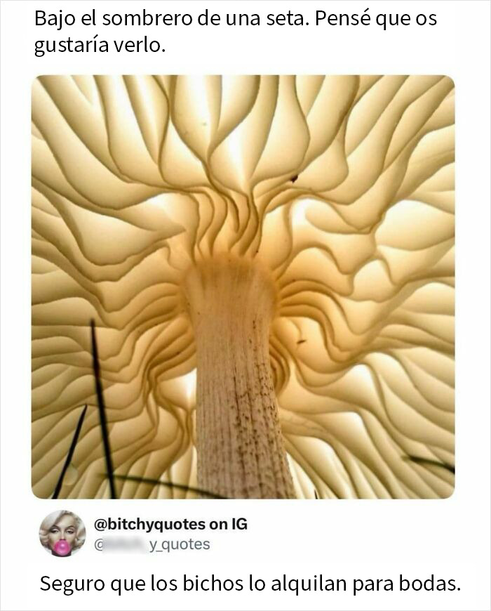 98 Savage Comments That Were Funnier Than The Original Posts