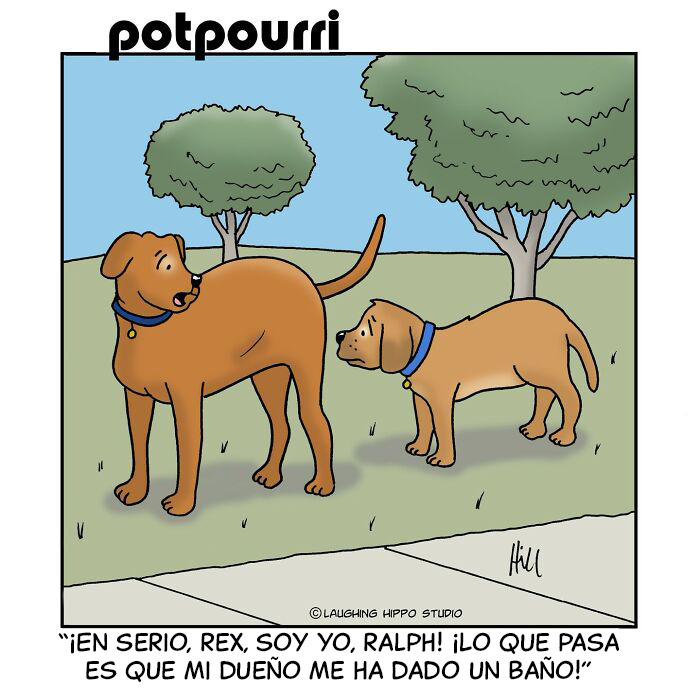 100 Best ‘Laughing Hippo Studio’ Comics By Cartoonist Doug Hill