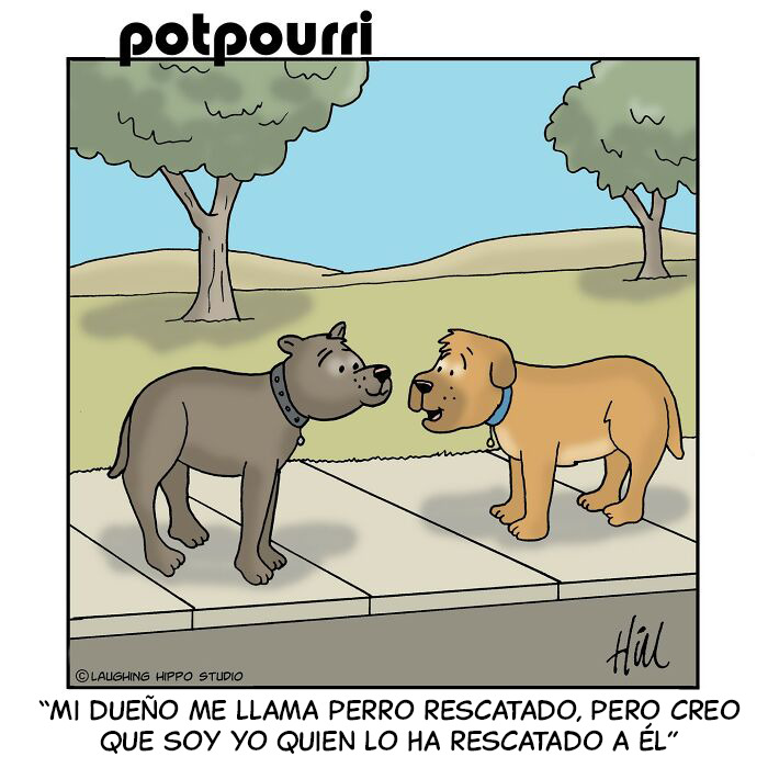 100 Best ‘Laughing Hippo Studio’ Comics By Cartoonist Doug Hill