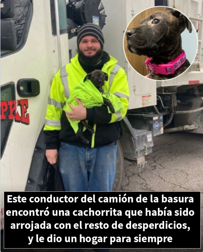 Conductor de camión de basura rescata cachorrita arrojada con desperdicios y le da hogar