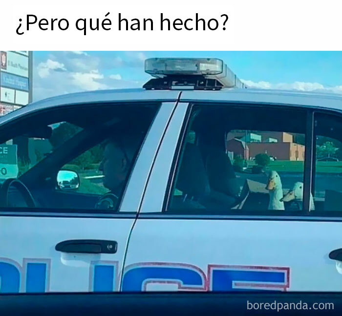 1.1M People Love This Page’s Random Sense Of Humor, Here Are 121 Of Its Best Posts