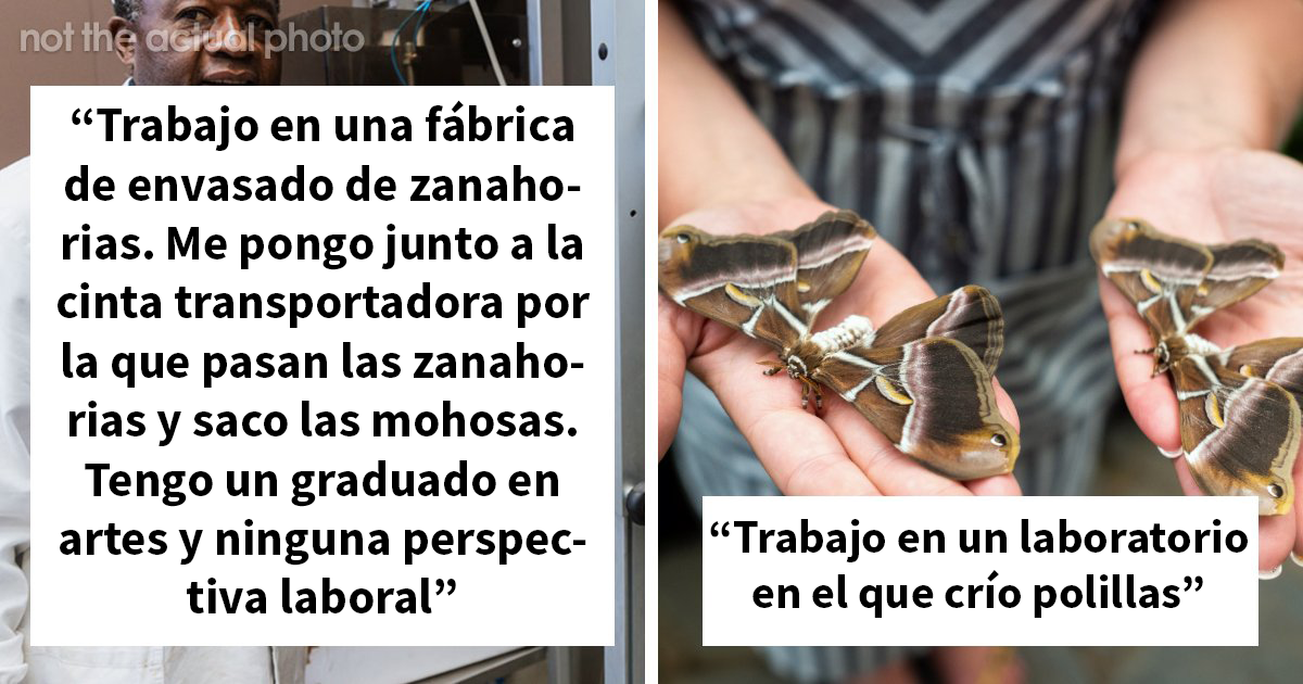 21 Personas con trabajos tan extraños que la mayoría desconoce su existencia