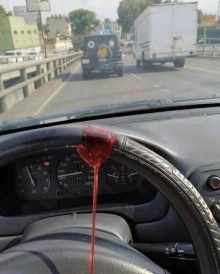 Thousands Of People Follow This Page For Its Chaotic And Funny Pics, Here Are 99 Of The Best Ones