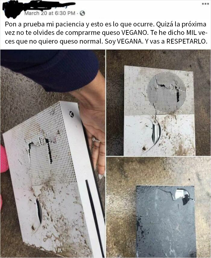 Solo vegano