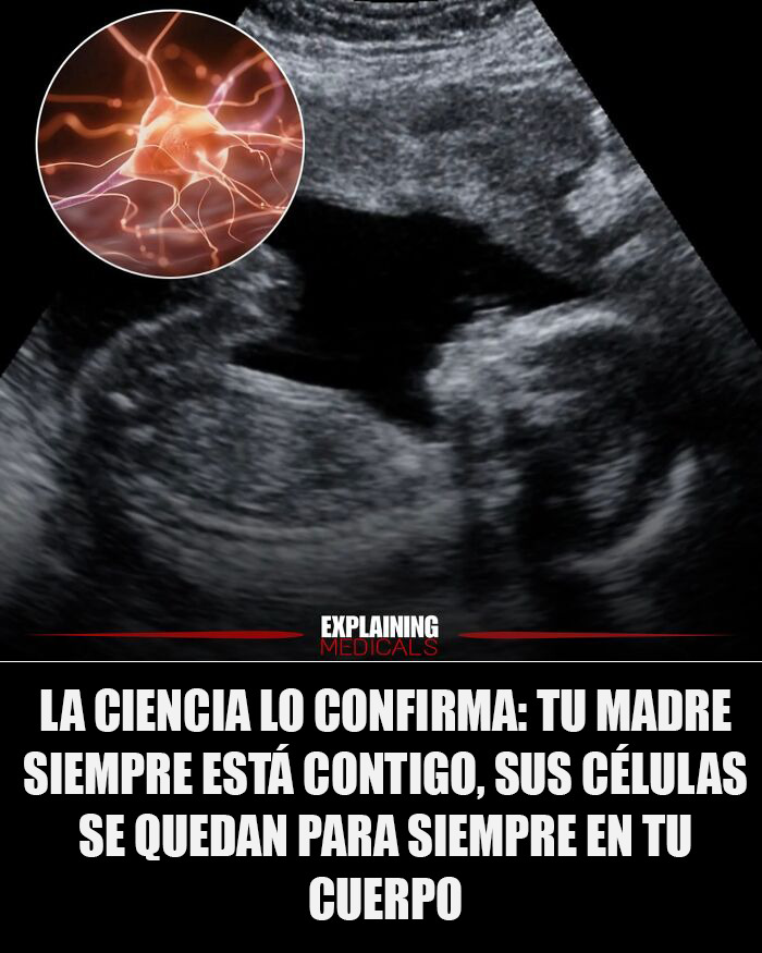 “A Lifetime Of Consequences”: 61 Cool And Interesting Medical Facts