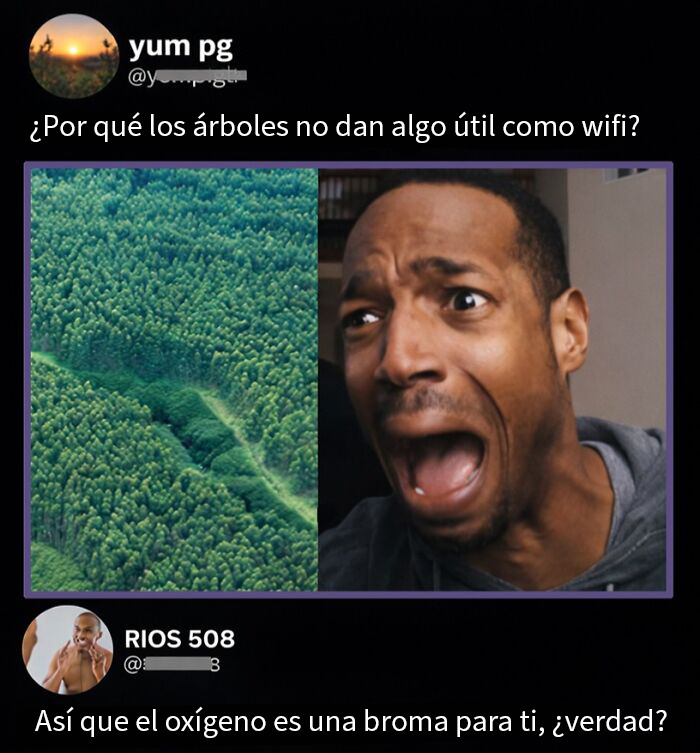 71 Brutally Funny Replies That Ended Up Winning The Whole Post