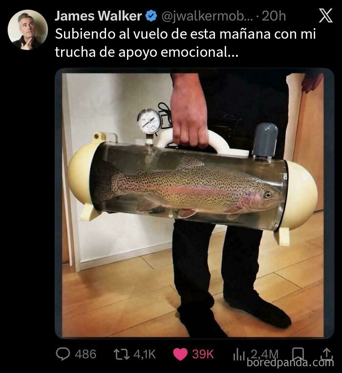 Pobre trucha