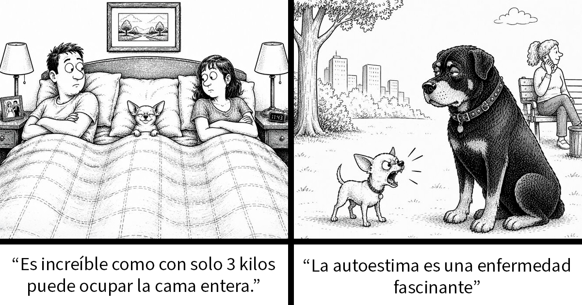 Imaginé los pensamientos que pasan por la mente de un perro y los convertí en 15 cómics