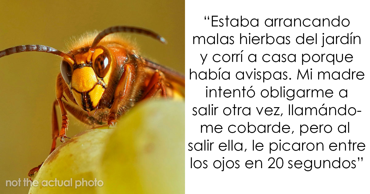 20 Historias sobre el karma golpeando sin piedad a quienes lo merecen