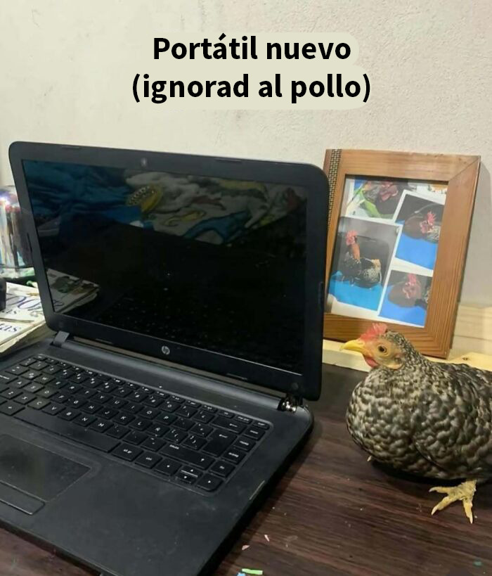 Thousands Of People Follow This Page For Its Chaotic And Funny Pics, Here Are 99 Of The Best Ones
