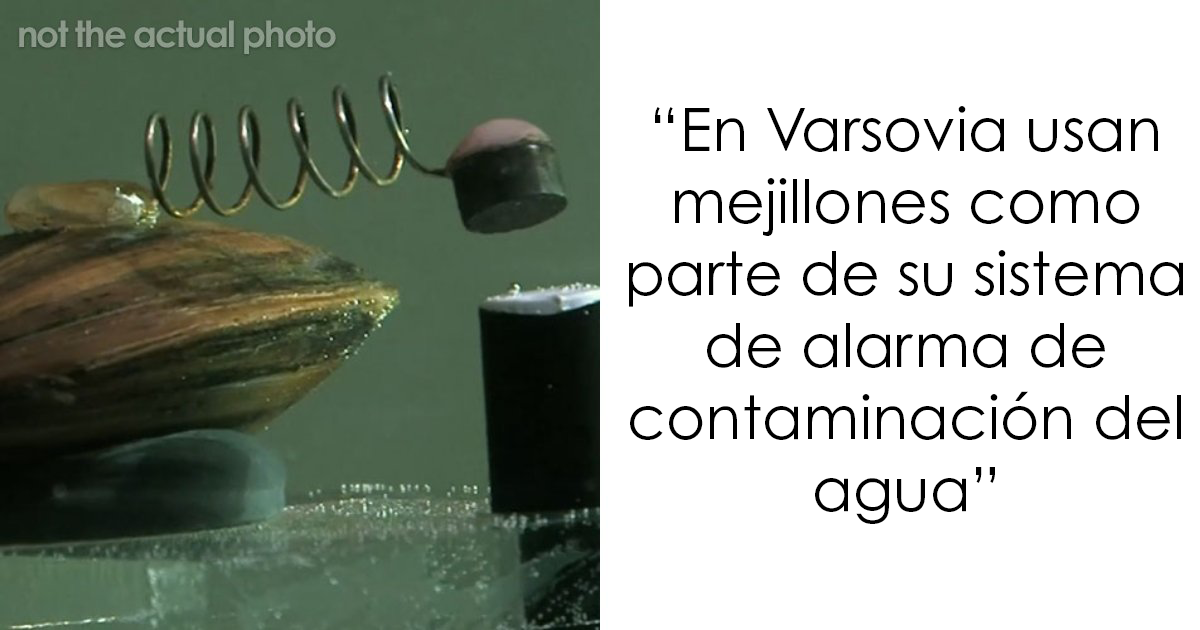 22 Problemas aparentemente complicados que tuvieron fácil solución