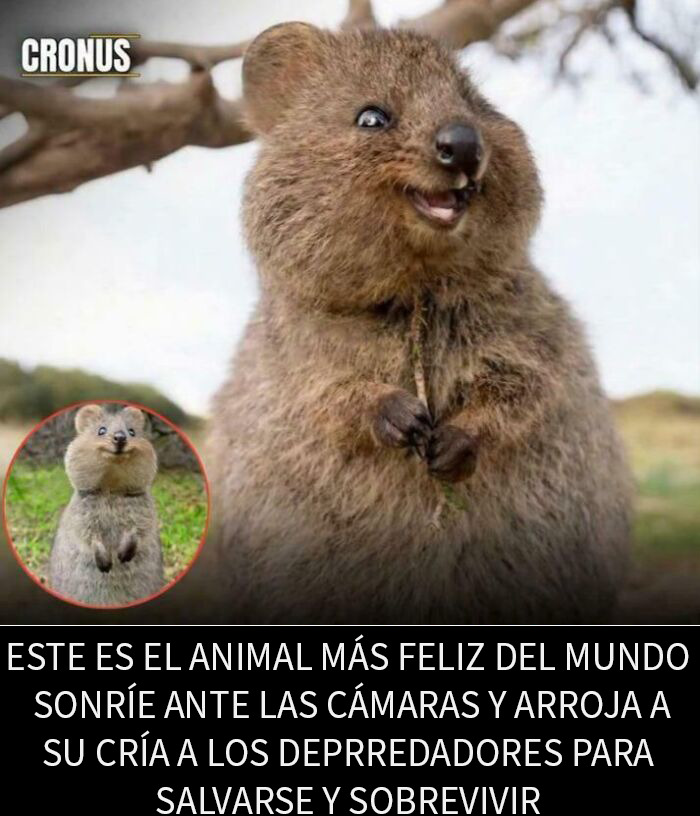 Okay