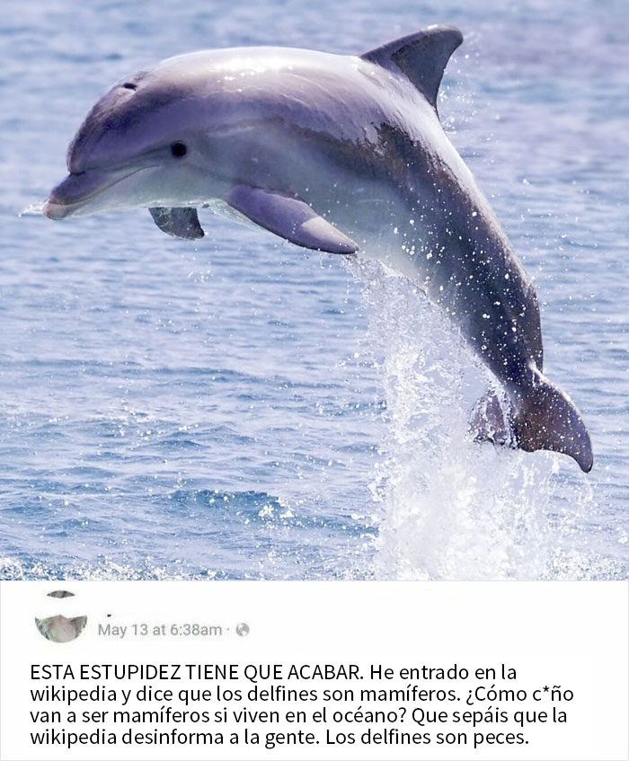 Pececitos