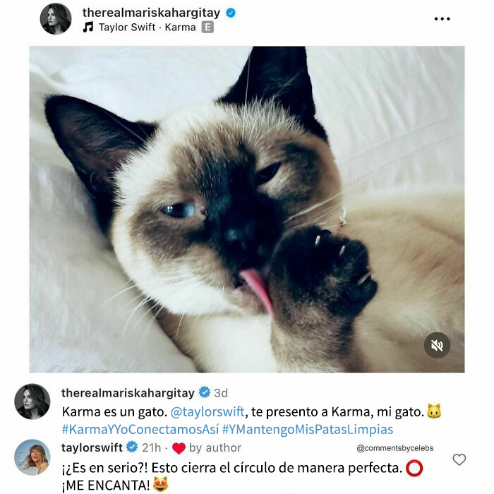 59 Celebrity Comments That Were So Unexpected They Broke The Internet (New Pics)