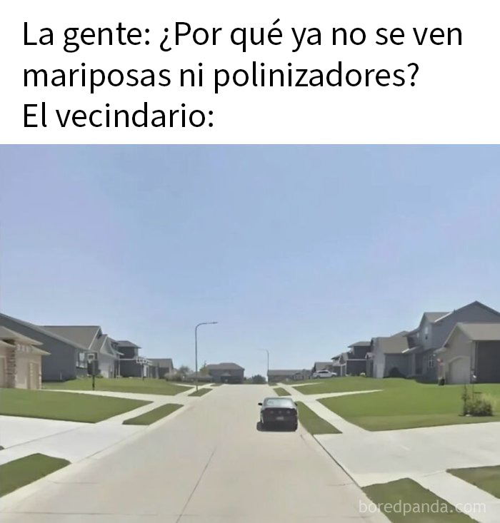 La crisis de los polinizadores