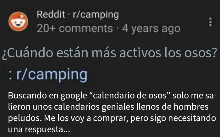 Otros osos