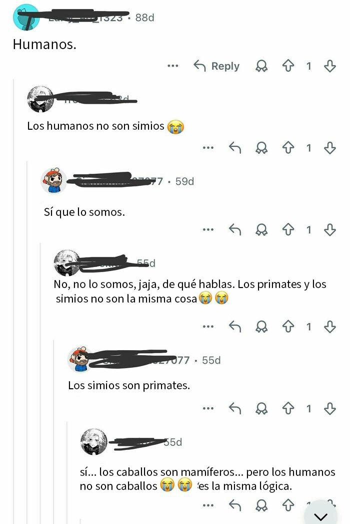 Simios, primates, humanos, lo mismo da