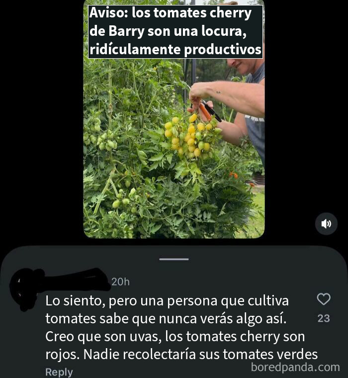 No sabe nada de jardinería