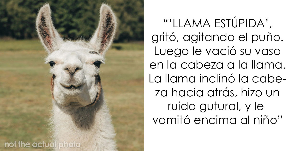 20 Testigos del karma instantáneo poniendo a personas tóxicas en su sitio