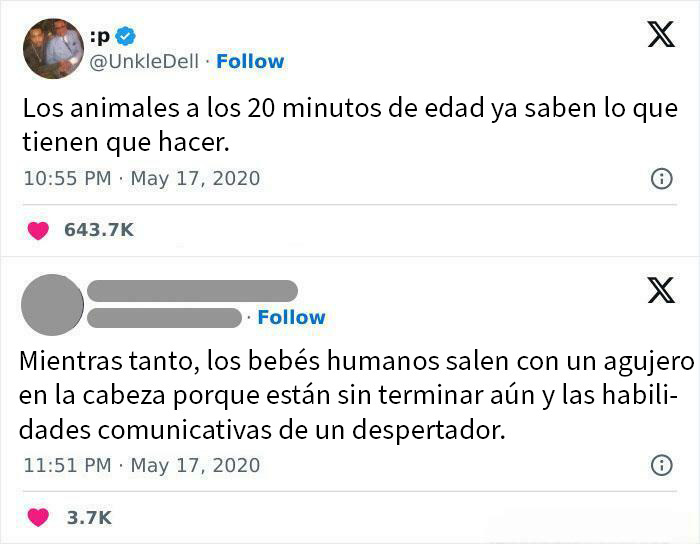 Animals Download Skills At Birth, Humans Still Buffering At 25