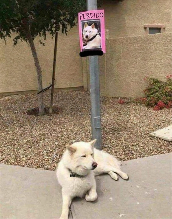 Bueno, esto fue fácil