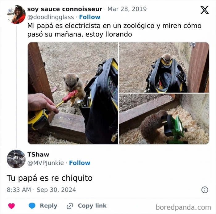 87 Times The Comment Was So Good Nobody Remembered What It Was Responding To