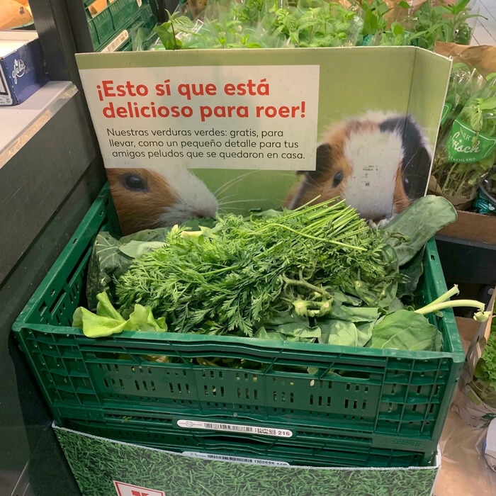 Hojas de verdura gratis para mascotas en la sección de frutas y verduras de mi supermercado local.