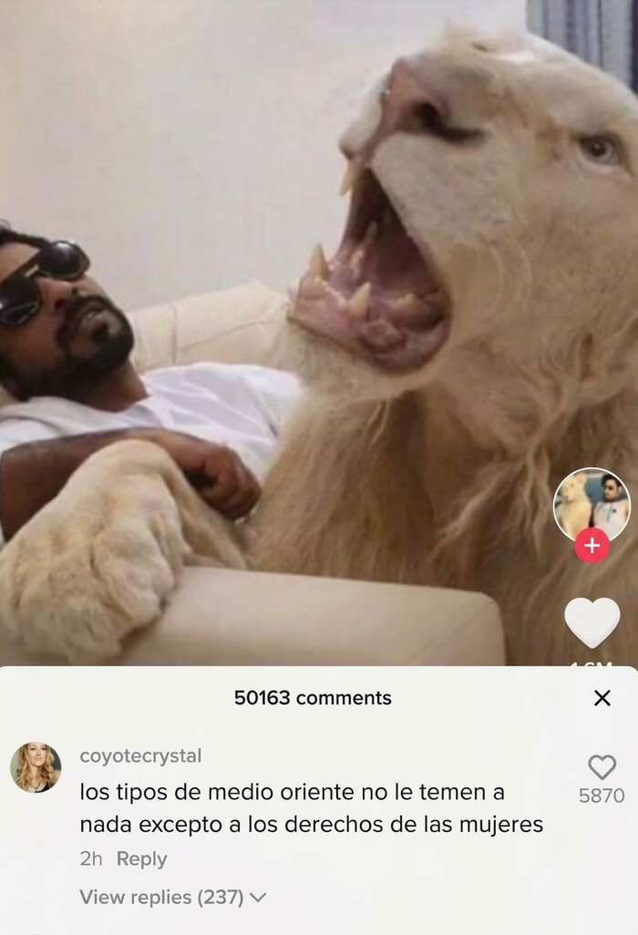48 “Gems Of Replies” Spotted Around The Internet That Might Make You Laugh More Than You Should (New Posts)