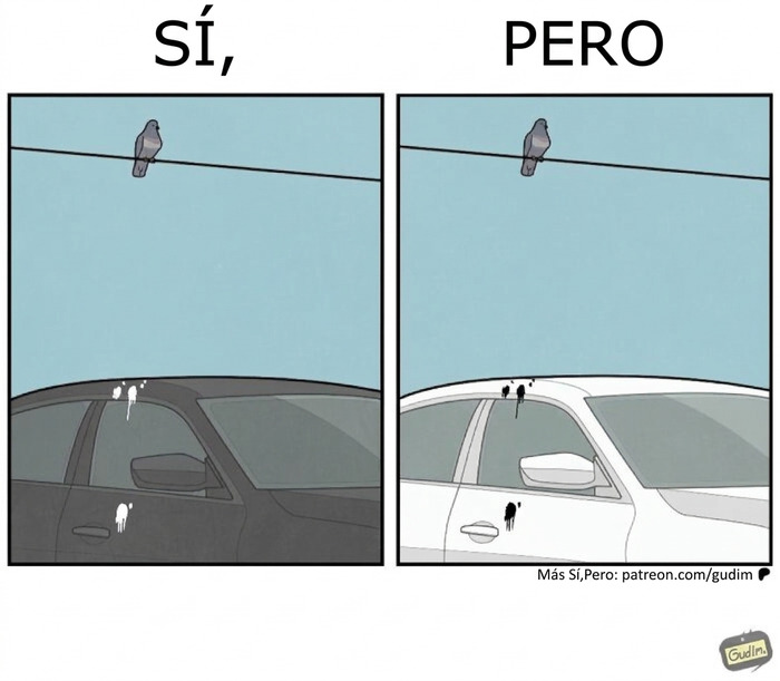 26 New Pics From “Yes, But” That Perfectly Capture Expectation Vs. Reality