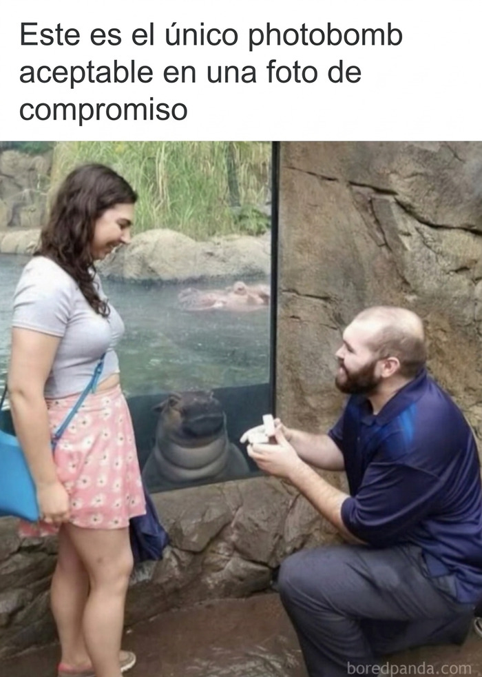 77 Memes That Are Funny Because People Find Them A Little Too Accurate