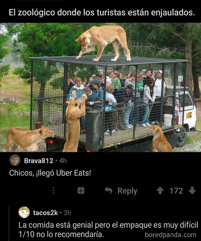 87 Times The Comment Was So Good Nobody Remembered What It Was Responding To