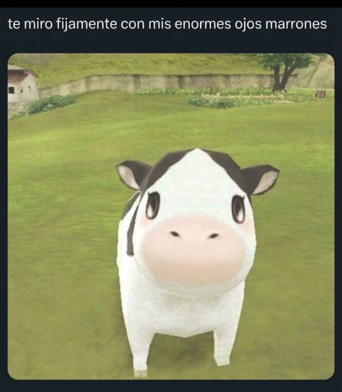 ¿De dónde salió esta vaca?