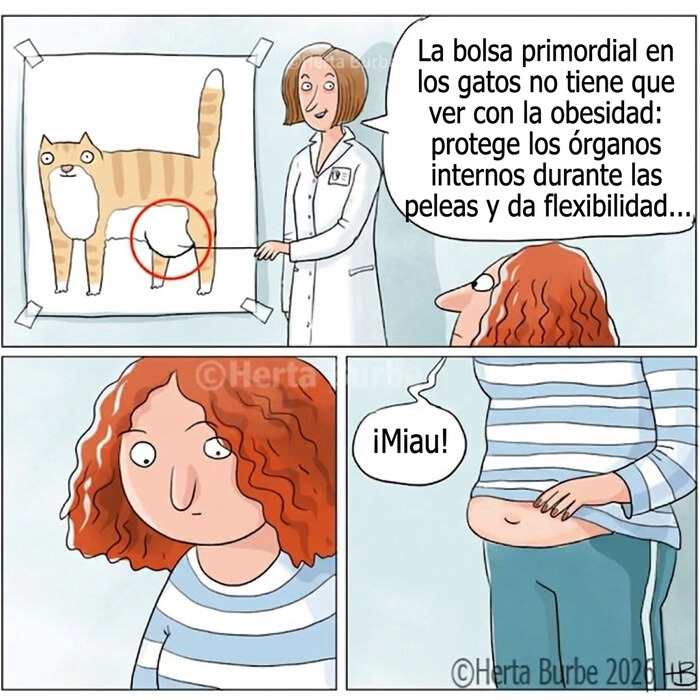 50 Beautiful Cat Comics By This Artist That Show Why Humans Feel So Deeply Connected To These Animals