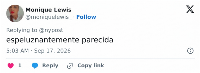 Se vuelve viral la foto policial de una ladrona de Minnesota gracias a su parecido razonable