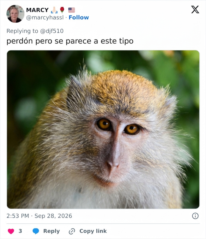 Ryan Seacrest se ve sometido a un intenso escrutinio por parte de los fans tras su dramática transformación Ryan Seacrest se ve sometido a un intenso escrutinio por parte de los fans tras su dramática transformación