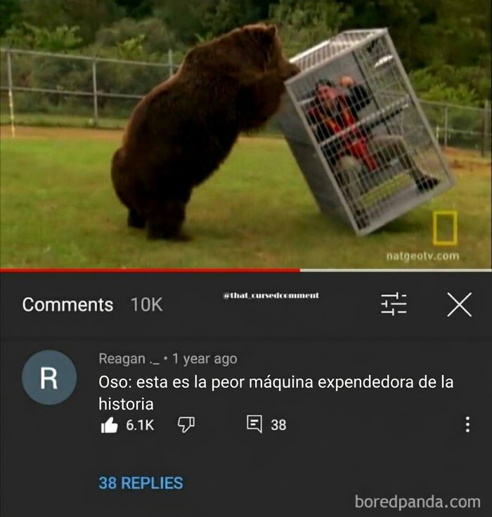 87 Times The Comment Was So Good Nobody Remembered What It Was Responding To