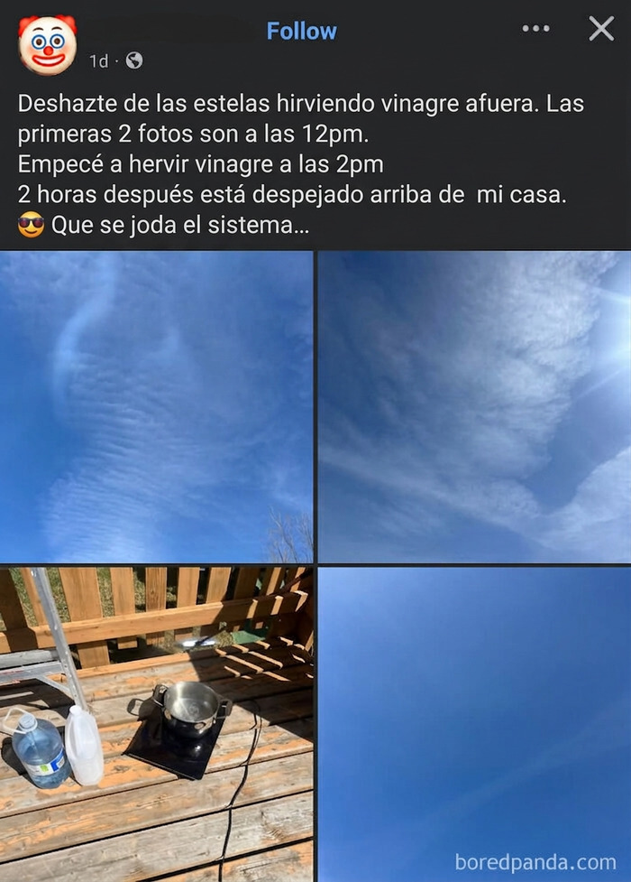 Esta persona puede votar