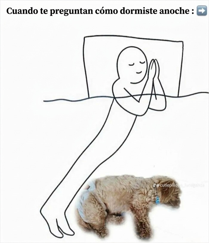 77 Memes That Are Funny Because People Find Them A Little Too Accurate