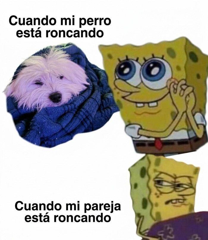 77 Memes That Are Funny Because People Find Them A Little Too Accurate