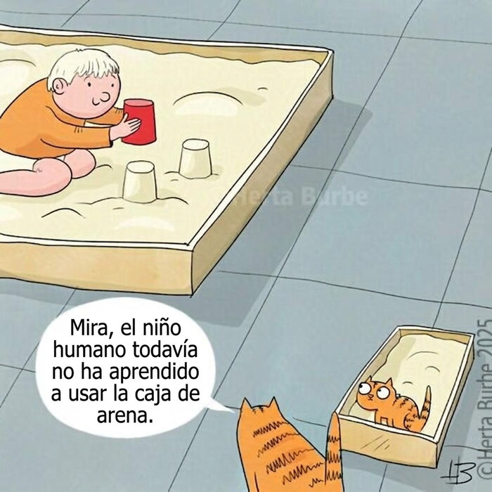 50 Beautiful Cat Comics By This Artist That Show Why Humans Feel So Deeply Connected To These Animals