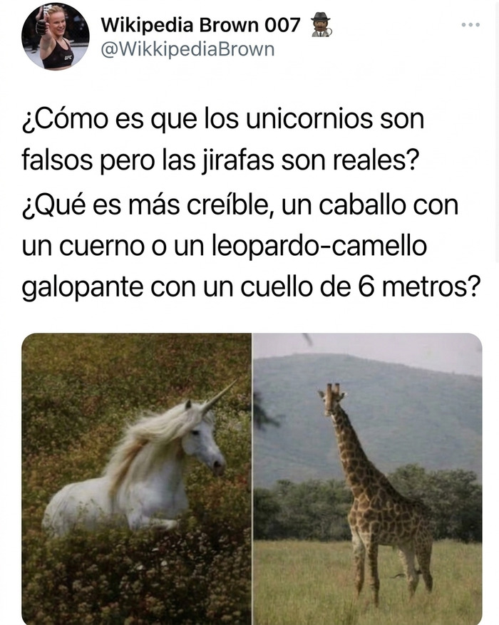 How Are They Real?
