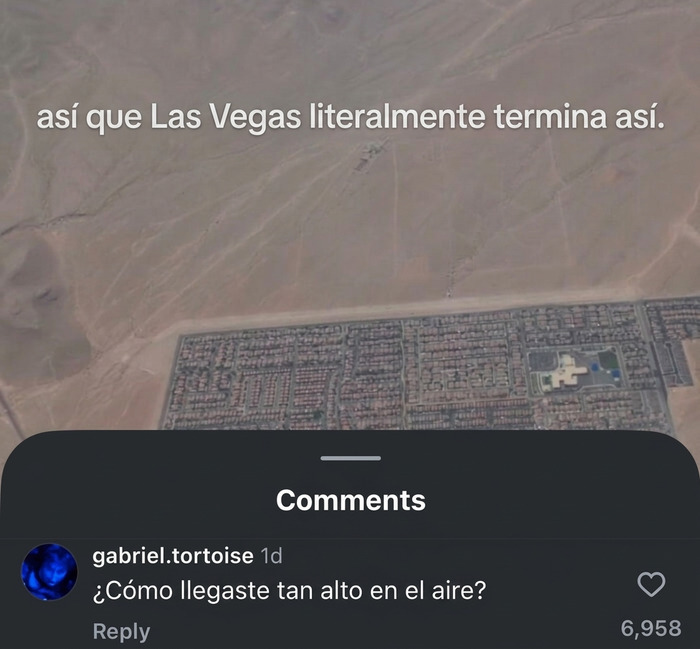Es un pájaro